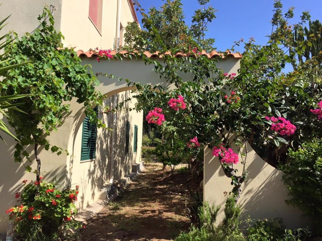 Surra Mediterranean Apartments シクリ エクステリア 写真